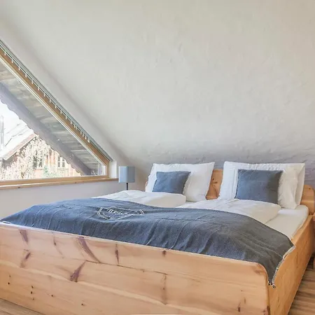 Lägenhetshotell Alpinest Mariapfarr